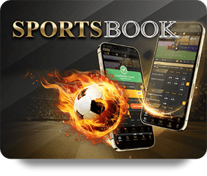 How to Navigate 1xBet Top Bet for a Seamless Experience